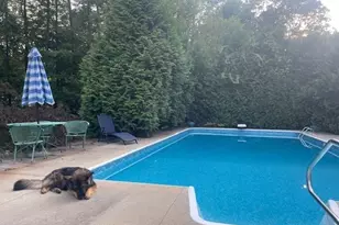 21 Meadowwood Dr, Deerfield, MA 01373 - Photo 39