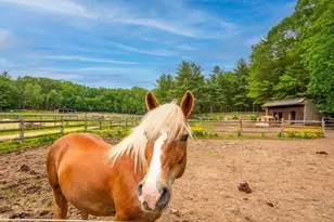 225 Lowell St, Carlisle, MA 01741 - Photo 29