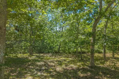 4 Wilsons Lane, Edgartown, MA 02539 - Photo 19