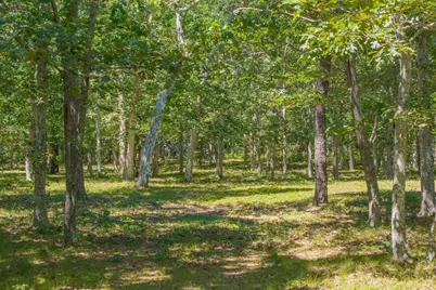 4 Wilsons Lane, Edgartown, MA 02539 - Photo 21