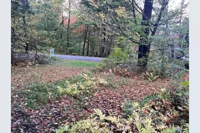 0 Stryker Road, Florida, MA 01247 - Photo 5