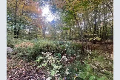 0 Stryker Road, Florida, MA 01247 - Photo 3