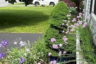 481 Upham St, Melrose, MA 02176 - Photo 37