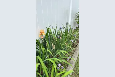 481 Upham St, Melrose, MA 02176 - Photo 37