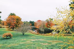 53 Cortland, Boxborough, MA 01719 - Photo 31