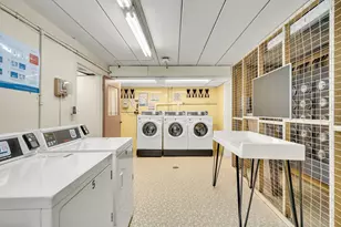 123 Sewall Ave, Brookline, MA 02446 - Photo 15