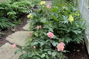 221 Nobscot Rd, Sudbury, MA 01776 - Photo 37