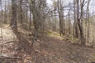 0 Summit Hill Rd Lot 3, Washington, MA 01223 - Photo 1