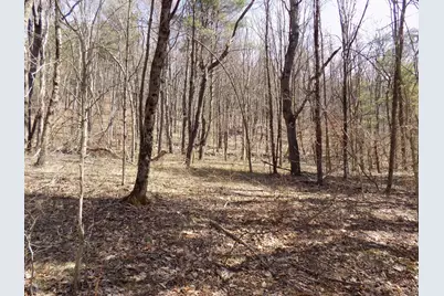0 Summit Hill Rd. Lot 3, Washington, MA 01223 - Photo 15