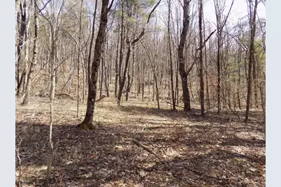 0 Summit Hill Rd. Lot 3, Washington, MA 01223 - Photo 15