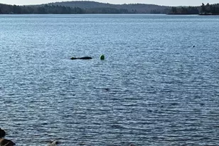 120 Rainbow Rd, Otis, MA 01253 - Photo 33