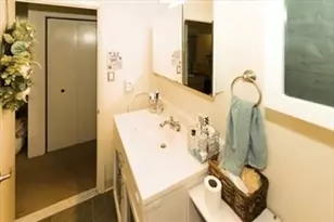 32 Silver Hill Ln, Natick, MA 01760 - Photo 27