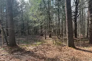 0 Island Acres Rd, Blandford, MA 01008 - Photo 1