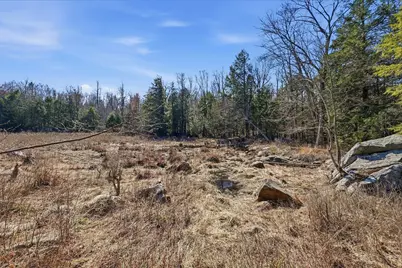 0 Algerie Rd, Otis, MA 01253 - Photo 7