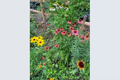 54 Huntington Rd, Hadley, MA 01035 - Photo 31