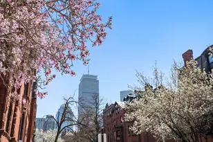 8 Fairfield St, Boston, MA 02116 - Photo 9