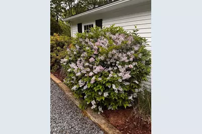 25 Frances Helen Rd, Yarmouth, MA 02675 - Photo 35