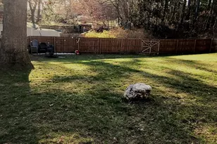 49 Anderson Ave, Middleborough, MA 02346 - Photo 5