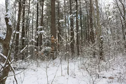 0 Blood Road, Charlton, MA 01507 - Photo 5