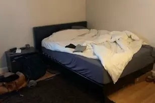 24 P St, Boston, MA 02127 - Photo 9