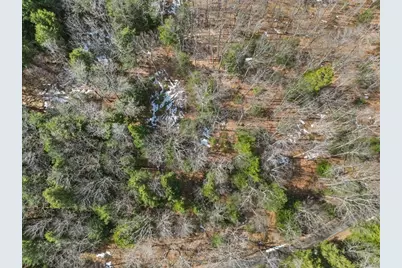8 Hemlock Rd, Tyringham, MA 01264 - Photo 9
