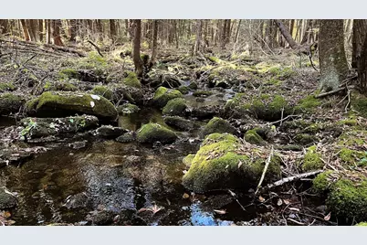Lot 1 Marcy Road, Otis, MA 01253 - Photo 15