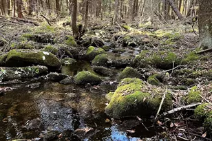Lot 1 Marcy Rd, Otis, MA 01253 - Photo 15