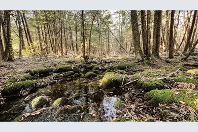 Lot 1 Marcy Road, Otis, MA 01253 - Photo 7