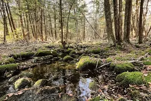 Lot 1 Marcy Rd, Otis, MA 01253 - Photo 7