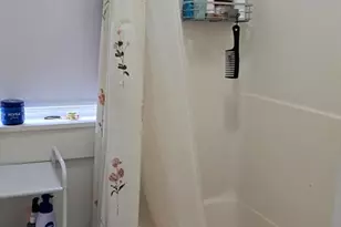 331 Plantation St, Worcester, MA 01604 - Photo 15