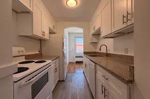 31 Chestnut St, Worcester, MA 01609 - Photo 9