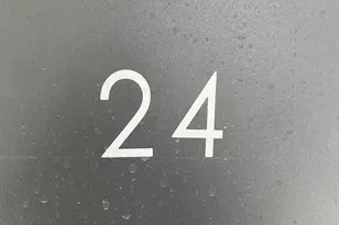 24 Harlem St, Boston, MA 02121 - Photo 11