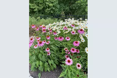 18 Manchester Dr, Wrentham, MA 02093 - Photo 37