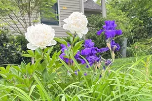 56 Summit Rd, Belmont, MA 02478 - Photo 27