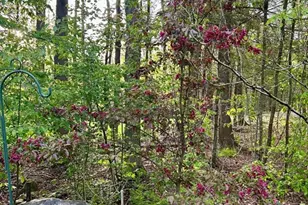 32 Woodchuck Hollow, Tolland, MA 01034 - Photo 31
