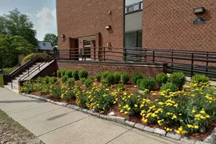 12 Mt Vernon St, Melrose, MA 02176 - Photo 23