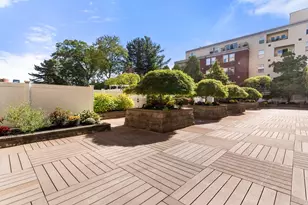 20 Webster St, Brookline, MA 02446 - Photo 9
