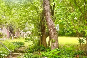 34 Gaston St, Boston, MA 02121 - Photo 3