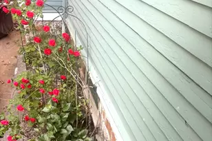 34 Gaston St, Boston, MA 02121 - Photo 23