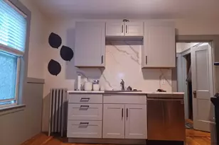 163 South St, Boston, MA 02130 - Photo 7