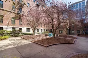 771 Harrison Ave, Boston, MA 02118 - Photo 3