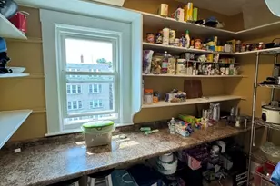11 Wilson Park, Boston, MA 02135 - Photo 9