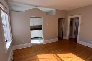 54 E Springfield St, Boston, MA 02118 - Photo 3