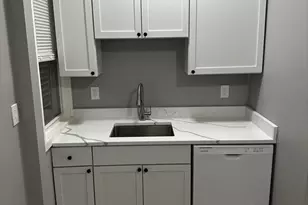 46 Lambert Ave, Boston, MA 02119 - Photo 5