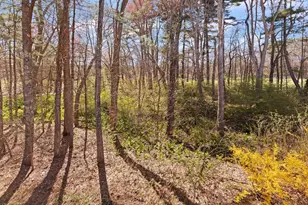 23 Derby Ln, Tyngsborough, MA 01879 - Photo 37