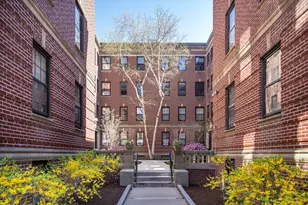 36 Linnaean St, Cambridge, MA 02138 - Photo 33