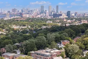 249 Corey Rd, Boston, MA 02135 - Photo 21