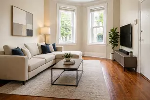 106 E Brookline St, Boston, MA 02118 - Photo 3