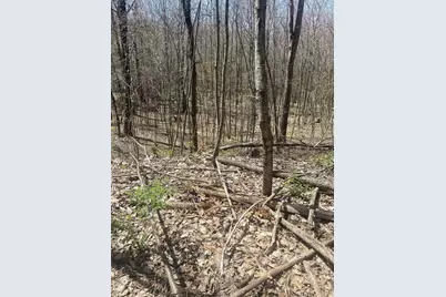 117 Munsing Ridge, Granby, MA 01033 - Photo 3