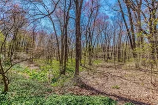 10 Country Club Dr, Walpole, MA 02081 - Photo 33